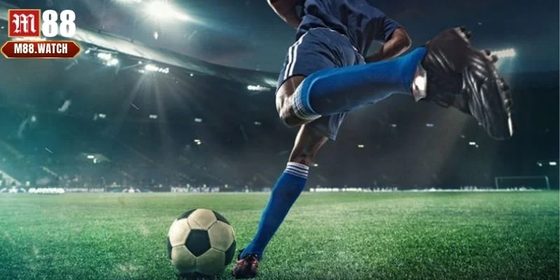 Bỏ túi ngay 6 mẹo cá độ luôn thắng giúp bạn nâng cao trình độ