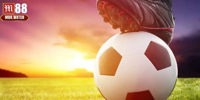 Chú ý đến các thông tin liên quan đến mỗi đội bóng