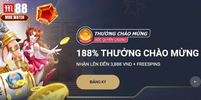 Có nhiều chương trình khuyến mãi dành cho mọi đối tượng hội viên