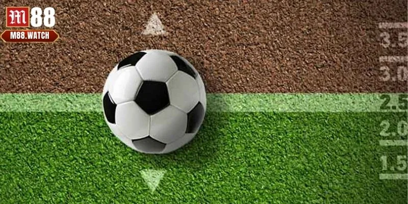 Hiểu rõ kèo thơm là gì trước khi tham gia