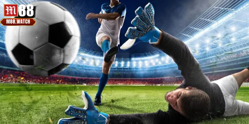 Những nguyên do chính tại sao cá độ bóng đá luôn thua?