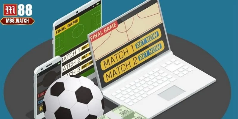 Thành viên của M88 cần nắm vững các quy định cơ bản