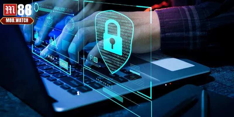 Trang cá cược thu thập thông tin người dùng để nâng cao trải nghiệm